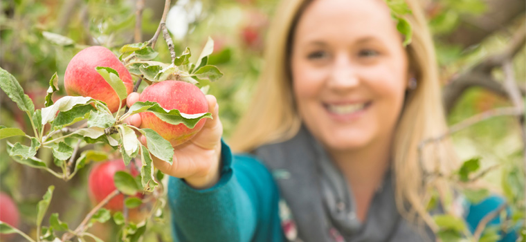 It’s Harvest Time! Here’s Where to Find Southern Idaho’s Freshest ...