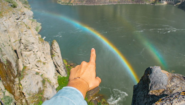 are dogs allowed at shoshone falls