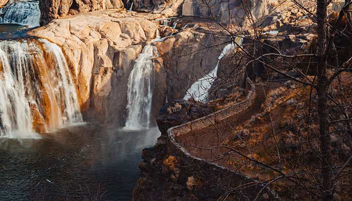 are dogs allowed at shoshone falls