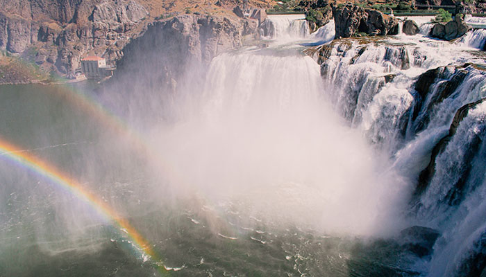 are dogs allowed at shoshone falls