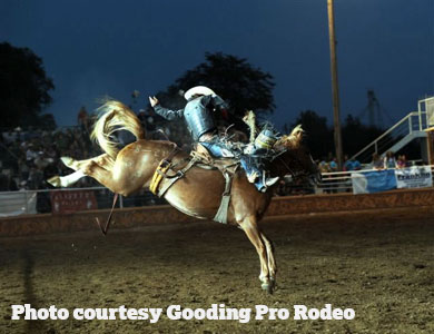 gooding-pro-rodeo