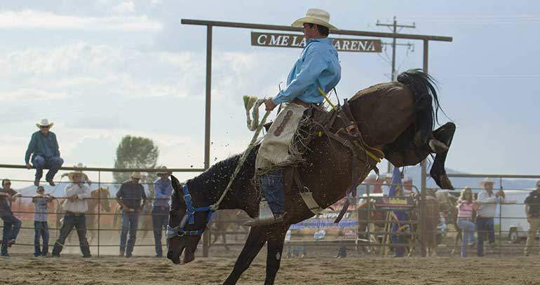 camas-county-rodeo-2017
