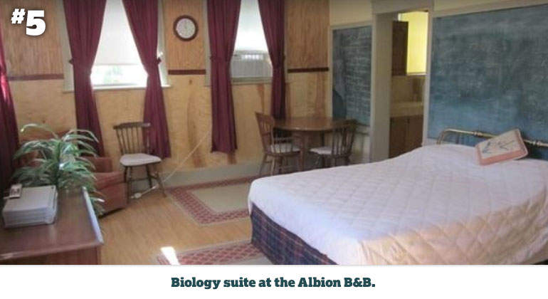 Biology-suite-at-the-Albion-B&B