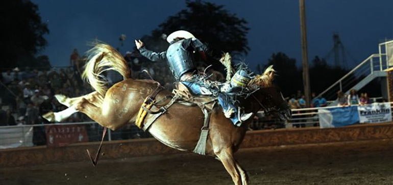 Gooding Rodeo