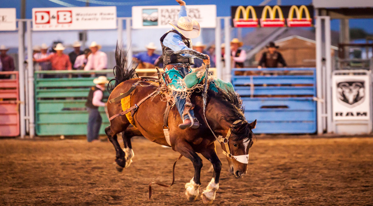 A cowboy rides a bucking horse in front of a crowd at the Twin Falls Rodeo.
