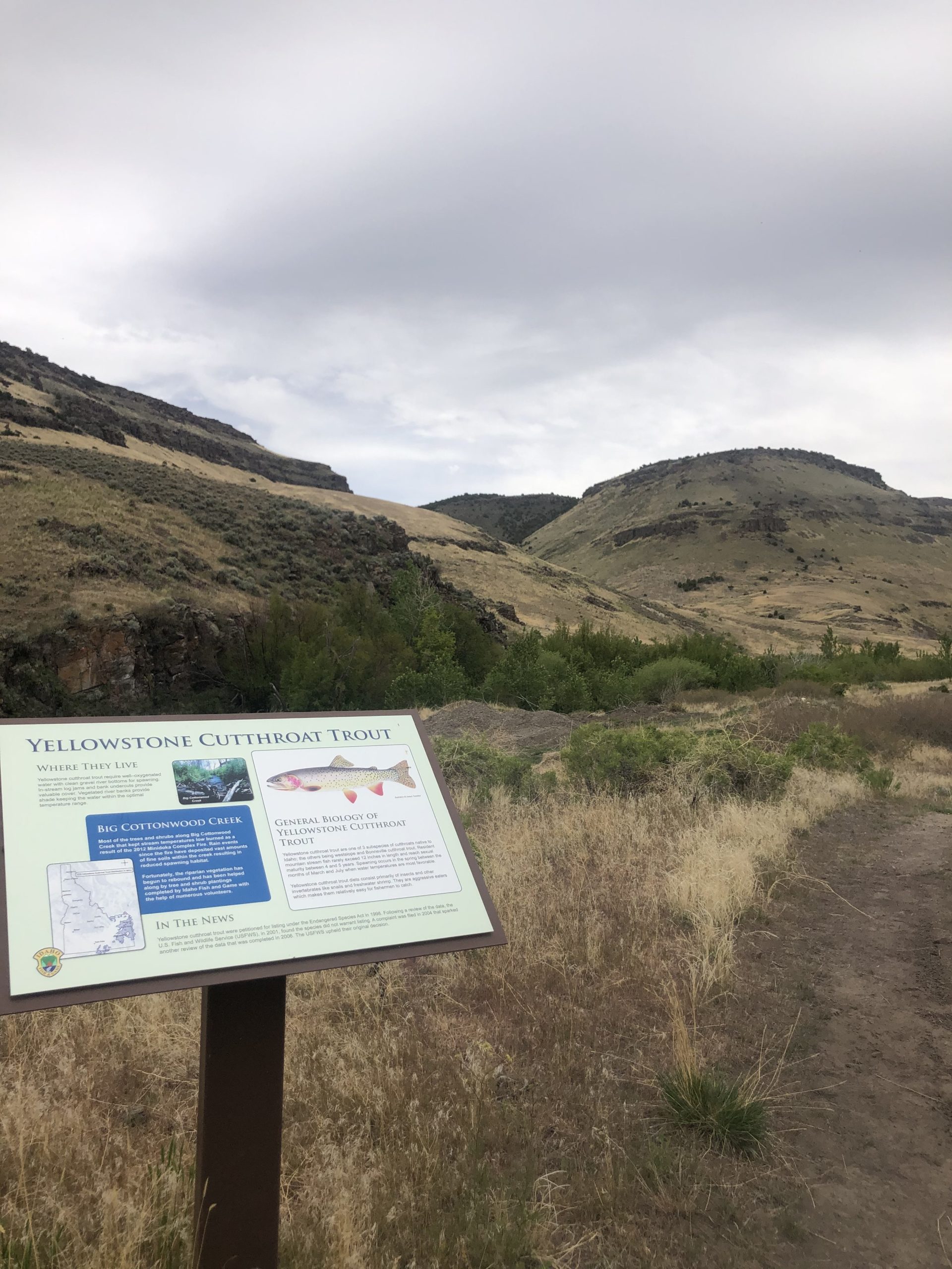 Big Cottonwood Wildlife Management Area, Spring, hike, Mountain Bike