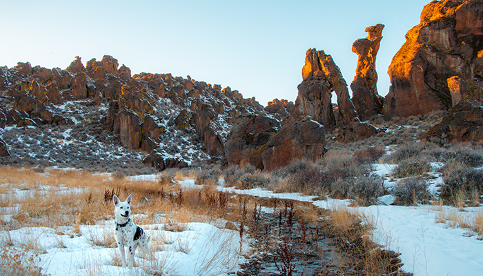 Dog Friendly Park and Trail called Little City of Rocks located in Gooding, Idaho. 