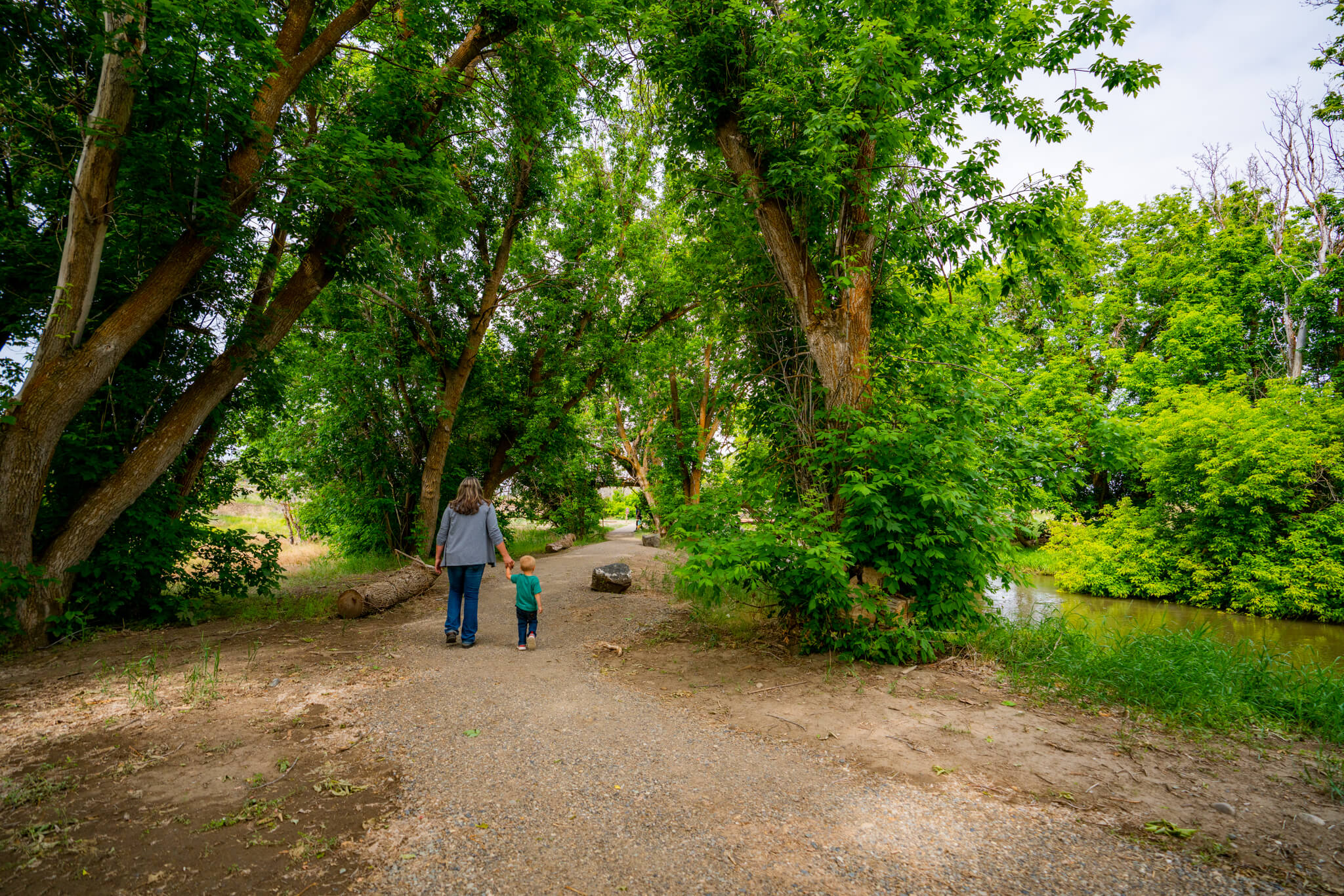 A woman and child walk hand-in-hand together over a path surrounded by green trees.