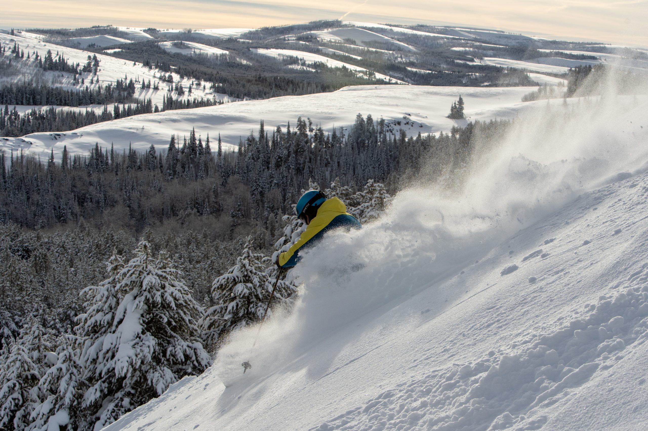 A person kicking up powder as they ski down a steep slope, and in the background, a sprawling forest of snow-covered trees and landscapes.