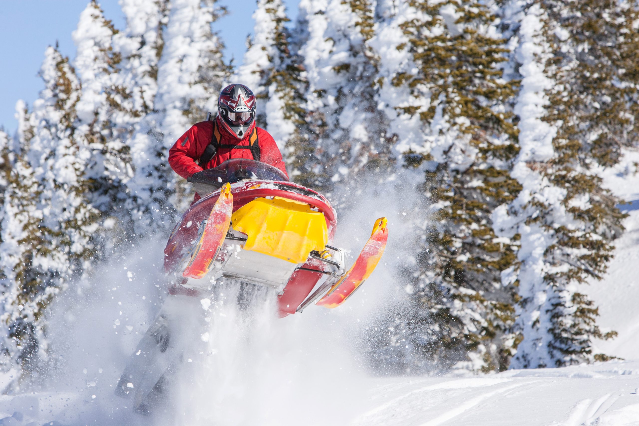 A person on a snowmobile in mid-air and a forest of snow-covered trees in the background.