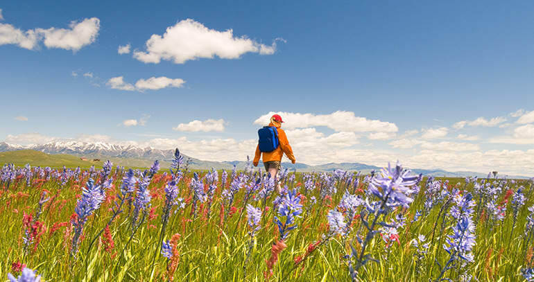 A person hiking amidst a field of tall grass and wildflowers at Camas Prairie Centennial Marsh Wildlife Management Area.