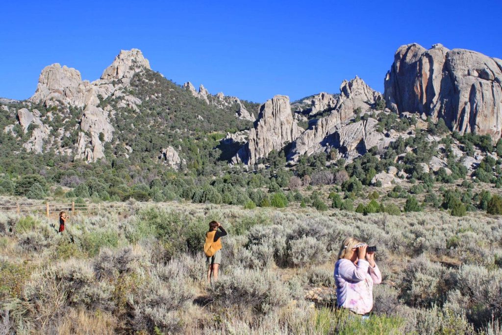 Three people birdwatching with binoculars in a field of tall grass and brush, lined with tall rock formations at Castle Rocks State Park.