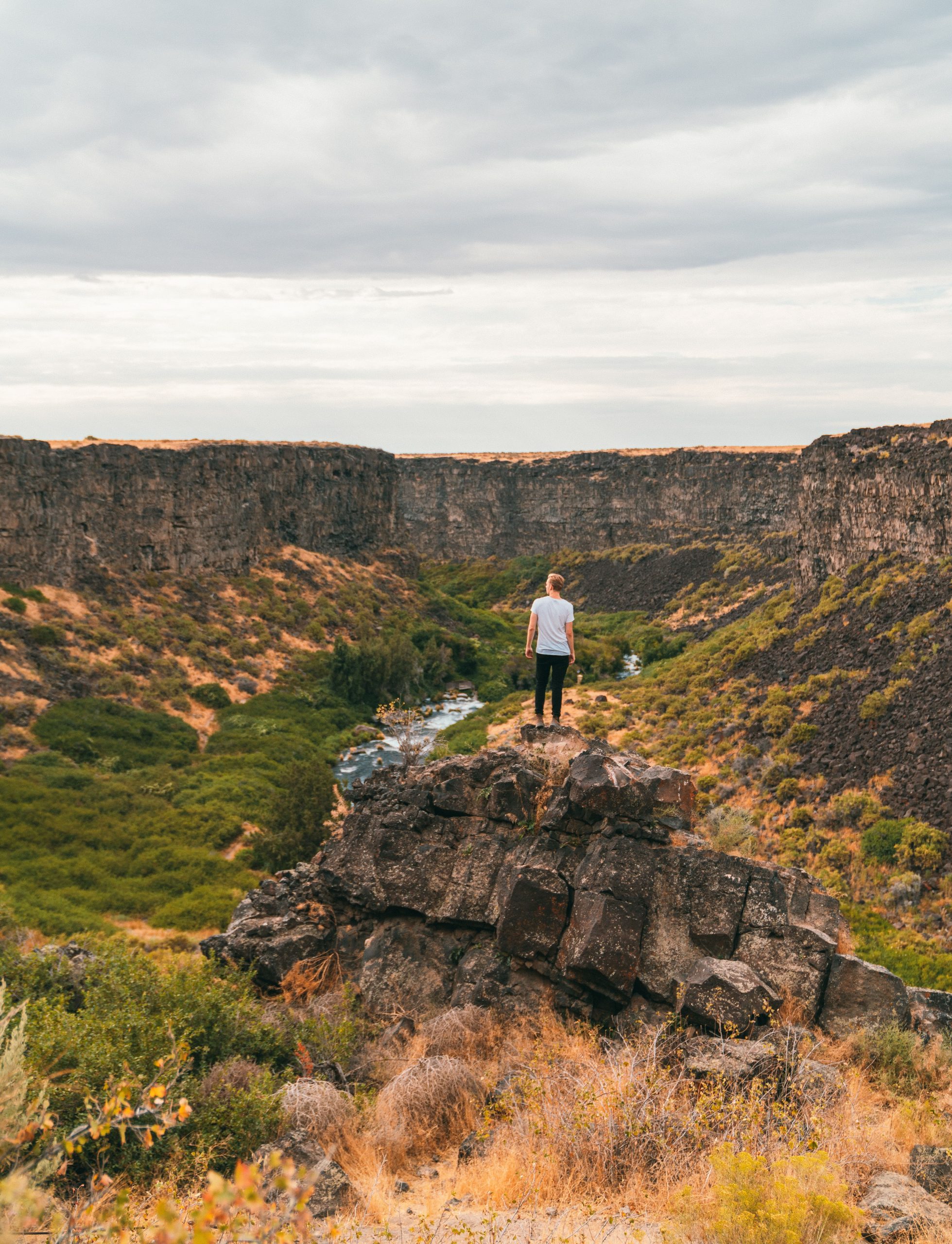 A person standing on a large rock within a canyon of brush and green bushes.