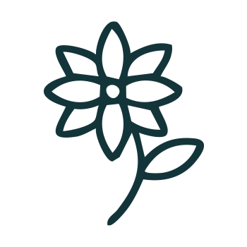 A flower icon with petals.