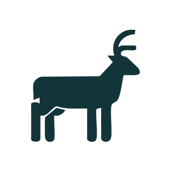 A wild deer icon.
