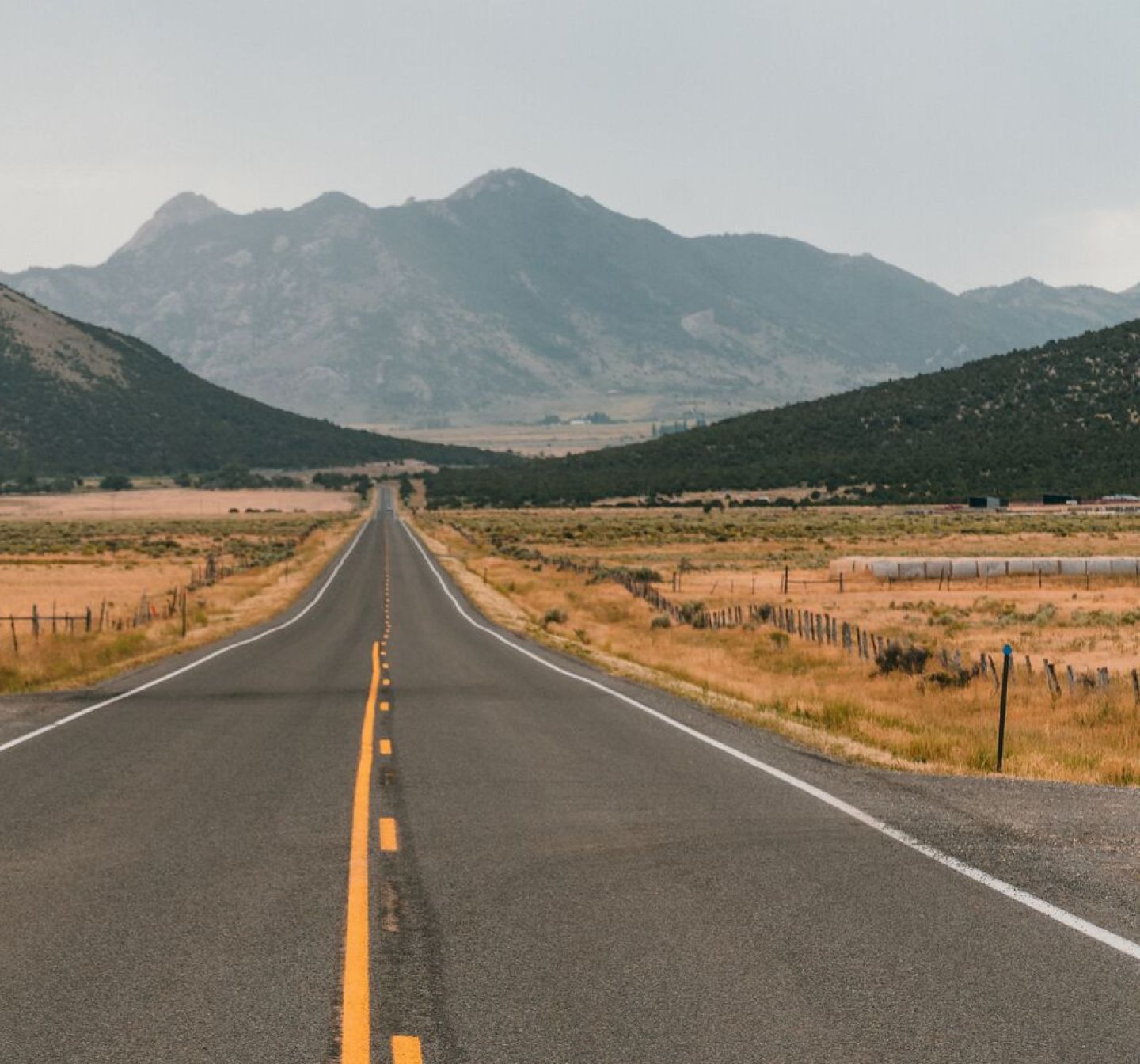 A road leads up to tall mountains in the background, yellow grass framing both sides, beneath a cloudy gray sky.
