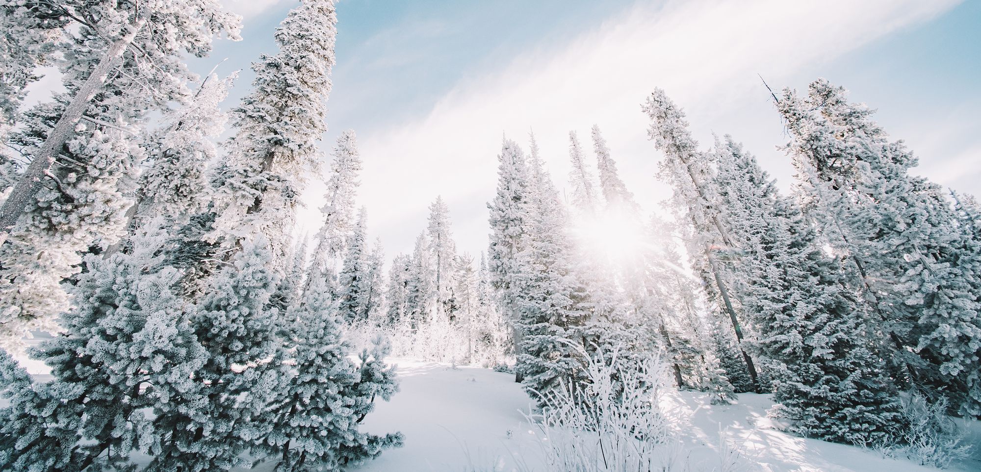 The sun dazzles through snowy trees and frozen branches, casting light across the cloud-streaked winter sky at Pomerelle Resort.