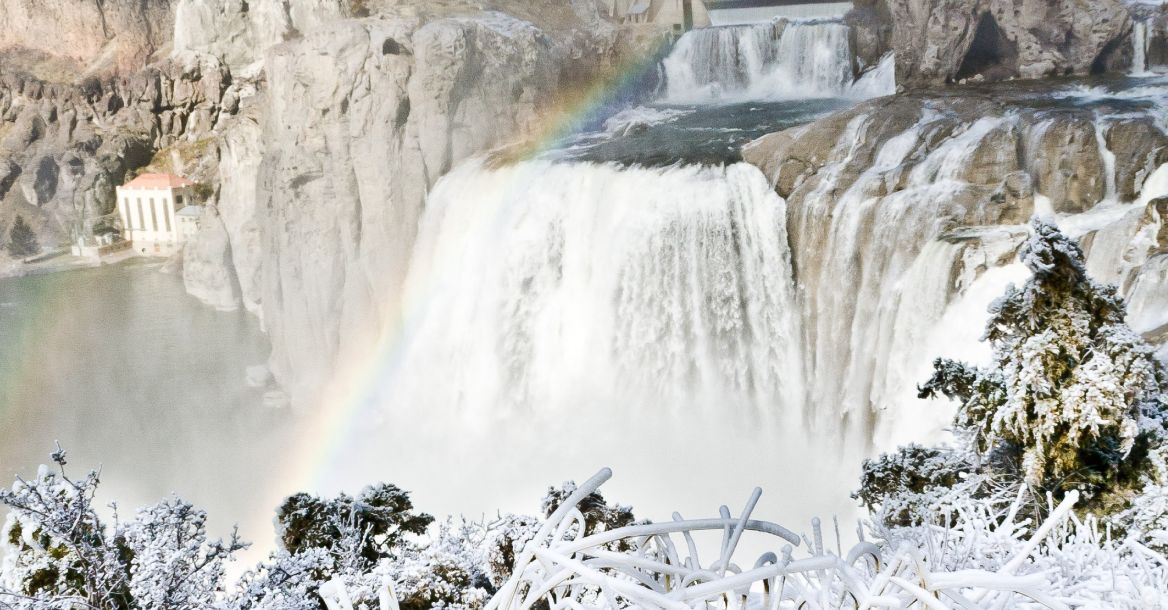 A view of frozen Shoshone Falls in winter, with ice-covered bushes in the foreground and a rainbow arching over the rugged canyon.
