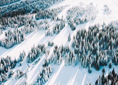 A drone captures sweeping snowy trees across the slopes at Pomerelle Resort.