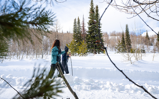 Cross-country skiers glide through the snowy trails of the South Hills in Southern Idaho.