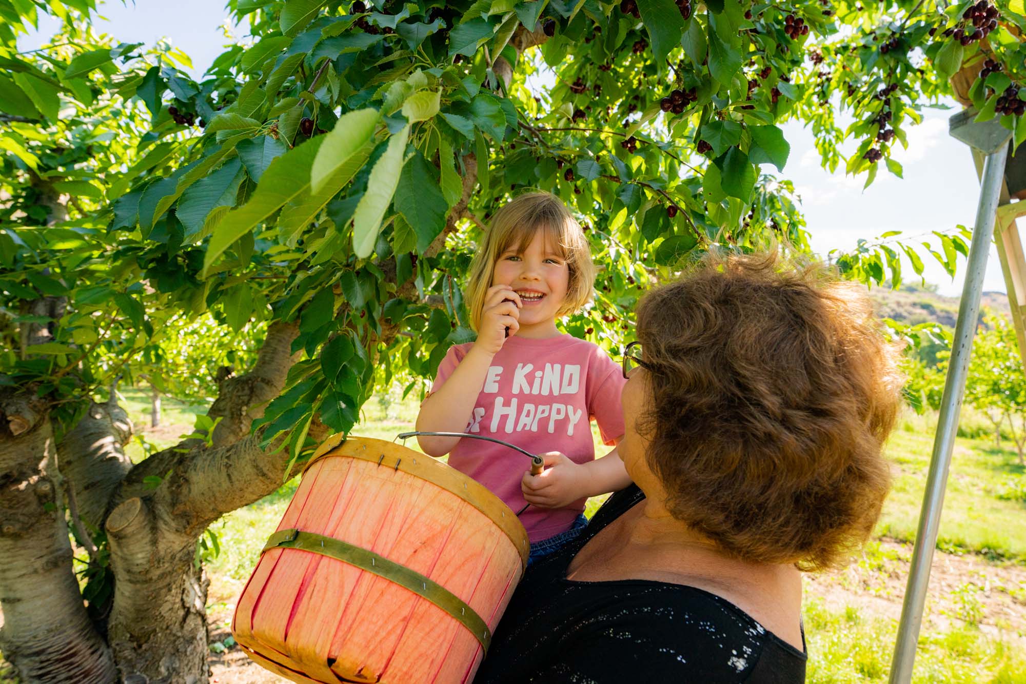 A grandmother and granddaughter smile while picking cherries at Kelley's Canyon Orchard in Filer, Idaho.
