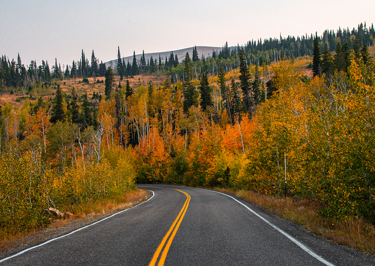 A foliage-lined highway near Twin Falls, Idaho.